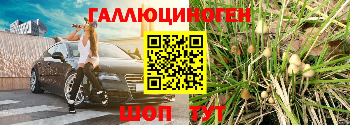 Галлюциногенные грибы ЛСД Ишимбай