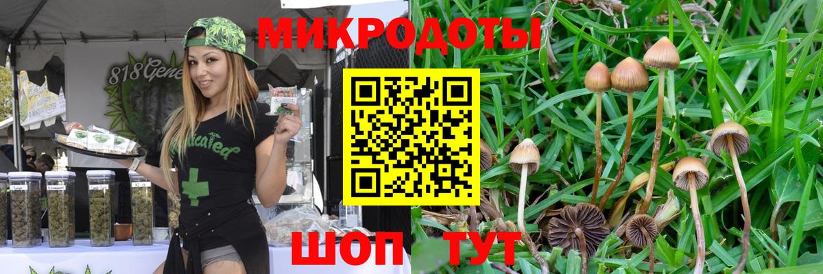 Ишимбай  Псилоцибиновые грибы прущие грибы  закладки  Вход с VPN 
